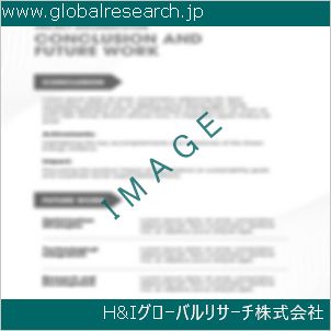 グローバルリサーチ調査資料のイメージ